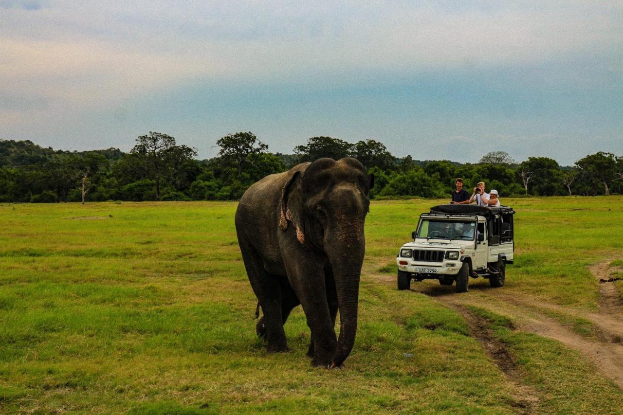 Lakmal Homestay ,10 Minutes To Sigiriya Rock 외부 사진