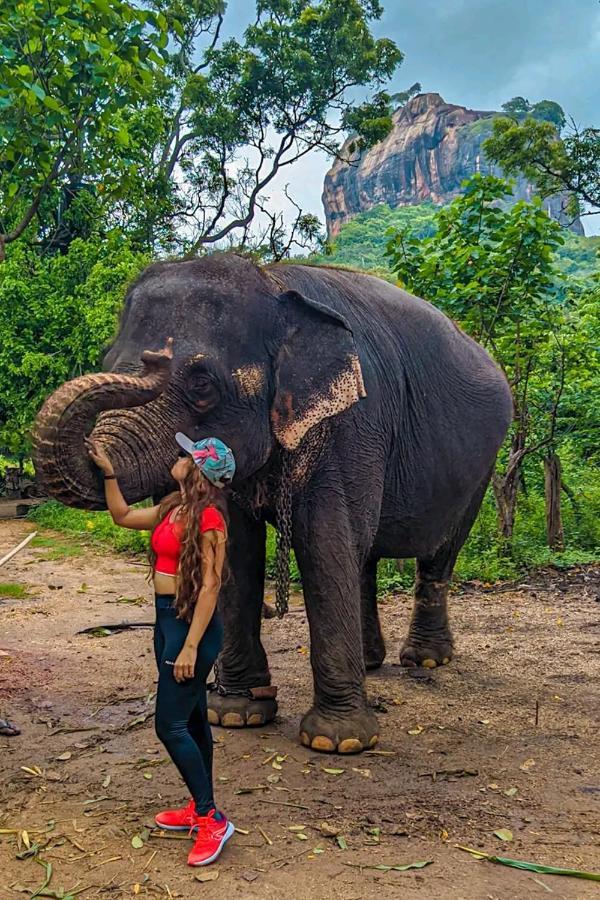 Lakmal Homestay ,10 Minutes To Sigiriya Rock 외부 사진