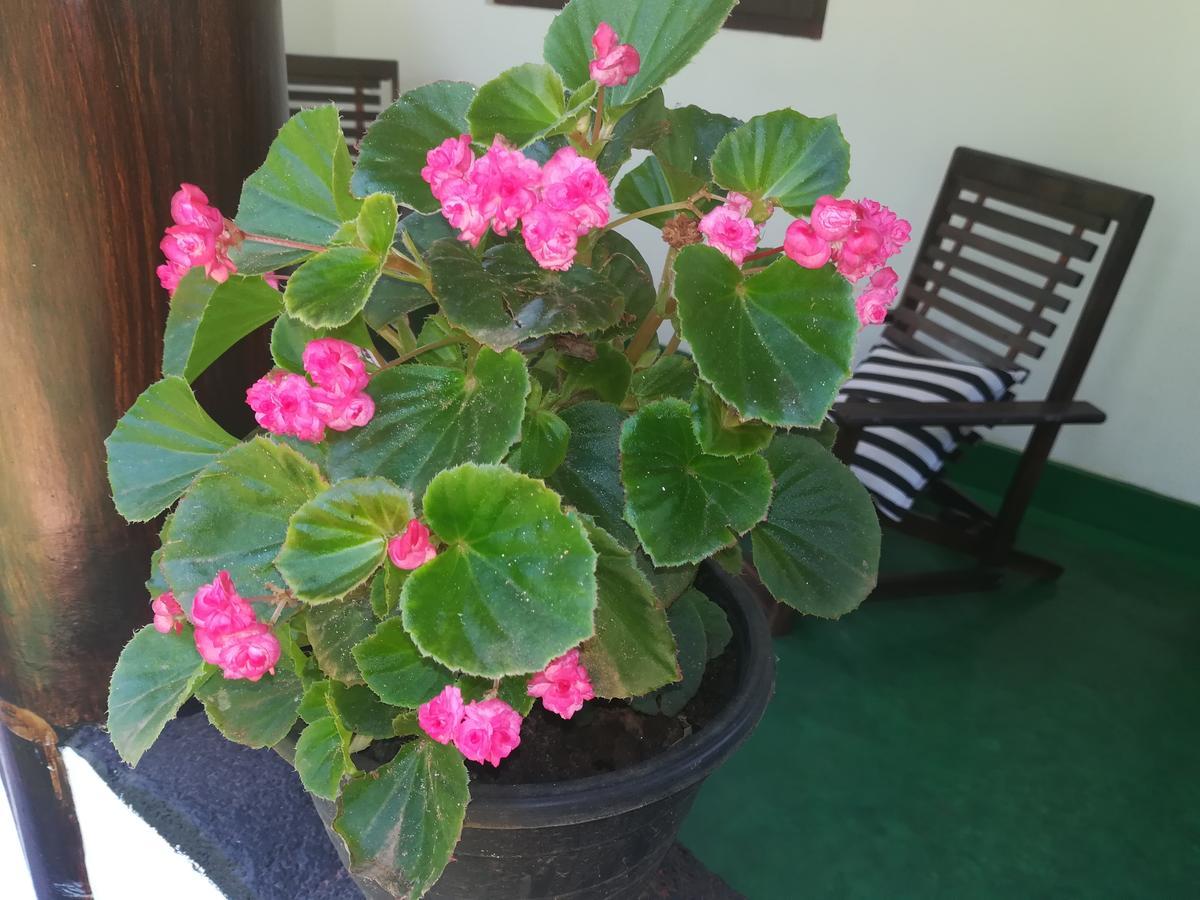 Lakmal Homestay ,10 Minutes To Sigiriya Rock 외부 사진