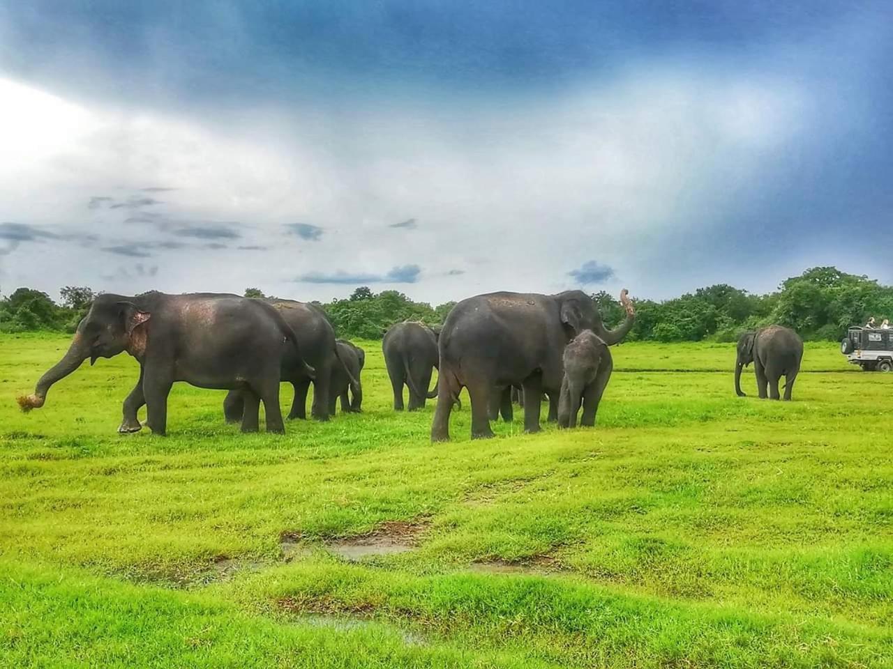 Lakmal Homestay ,10 Minutes To Sigiriya Rock 외부 사진